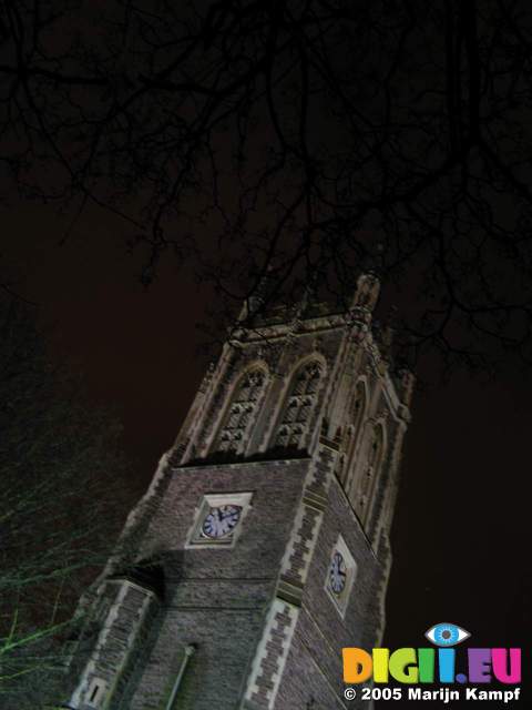 15558 Tree branches over St. Mark church